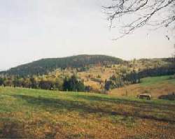 landschaft