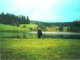 Niedermoor