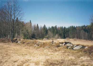 Luchs