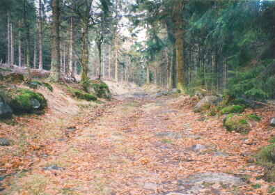 goldener steig