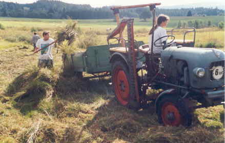 brache von bergmagerwiesen frauenberg